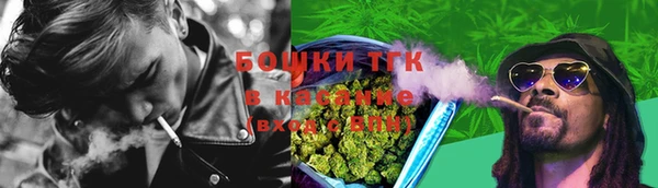 первитин Новодвинск