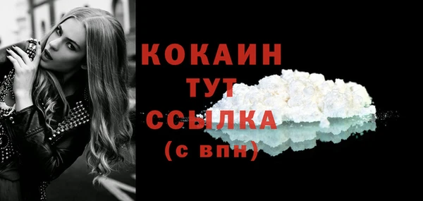 таблы Няндома