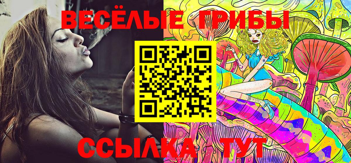 Кинель  Галлюциногенные грибы Psilocybe  Псилоцибиновые грибы Psilocybine cubensis  Вход с VPN 
