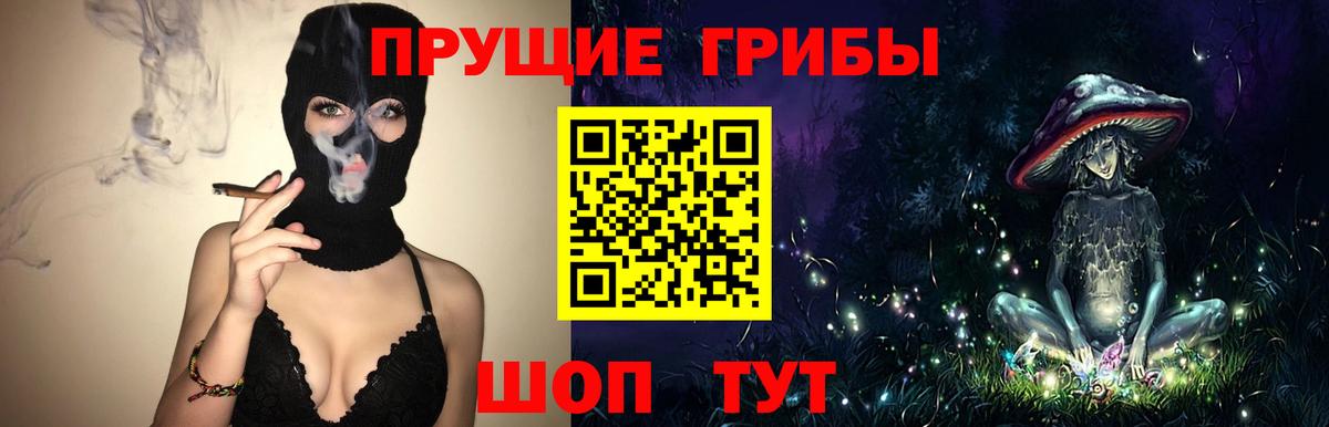 Псилоцибиновые грибы Psilocybe  Псилоцибиновые грибы прущие грибы  Кинель 