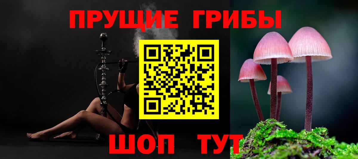Бошки Шишки Кинель